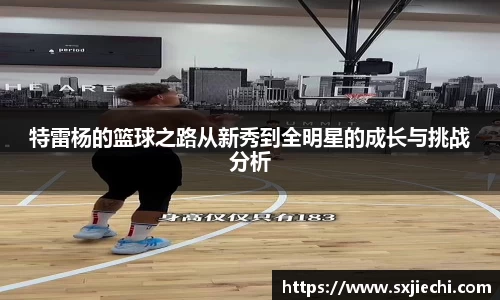 特雷杨的篮球之路从新秀到全明星的成长与挑战分析