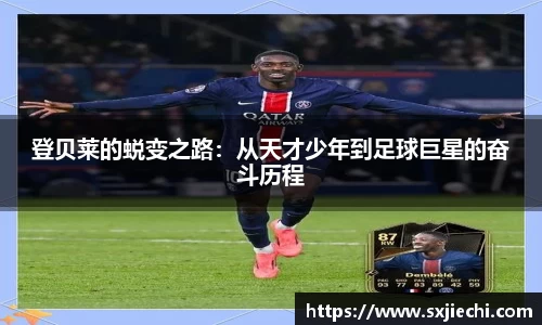 678体育
